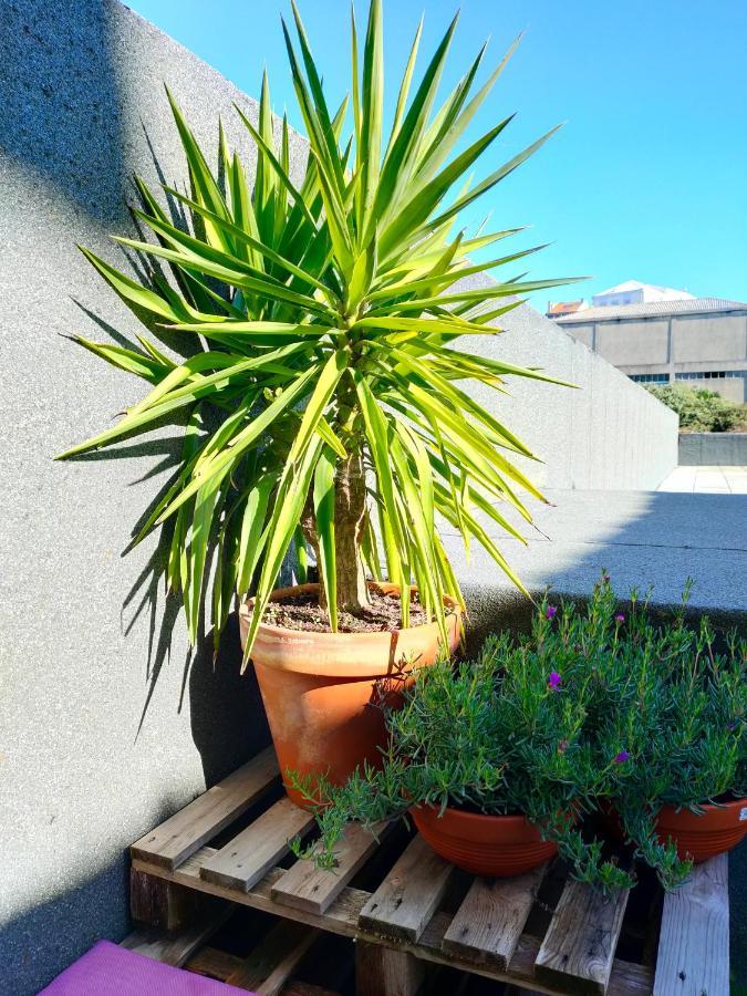Porto Santa Catarina - Apartment With Terrace Exterior photo